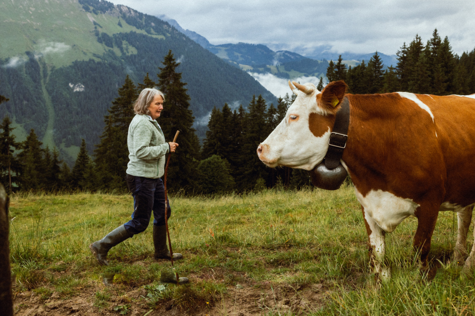 Bäuerin und Kuh auf der  Alp