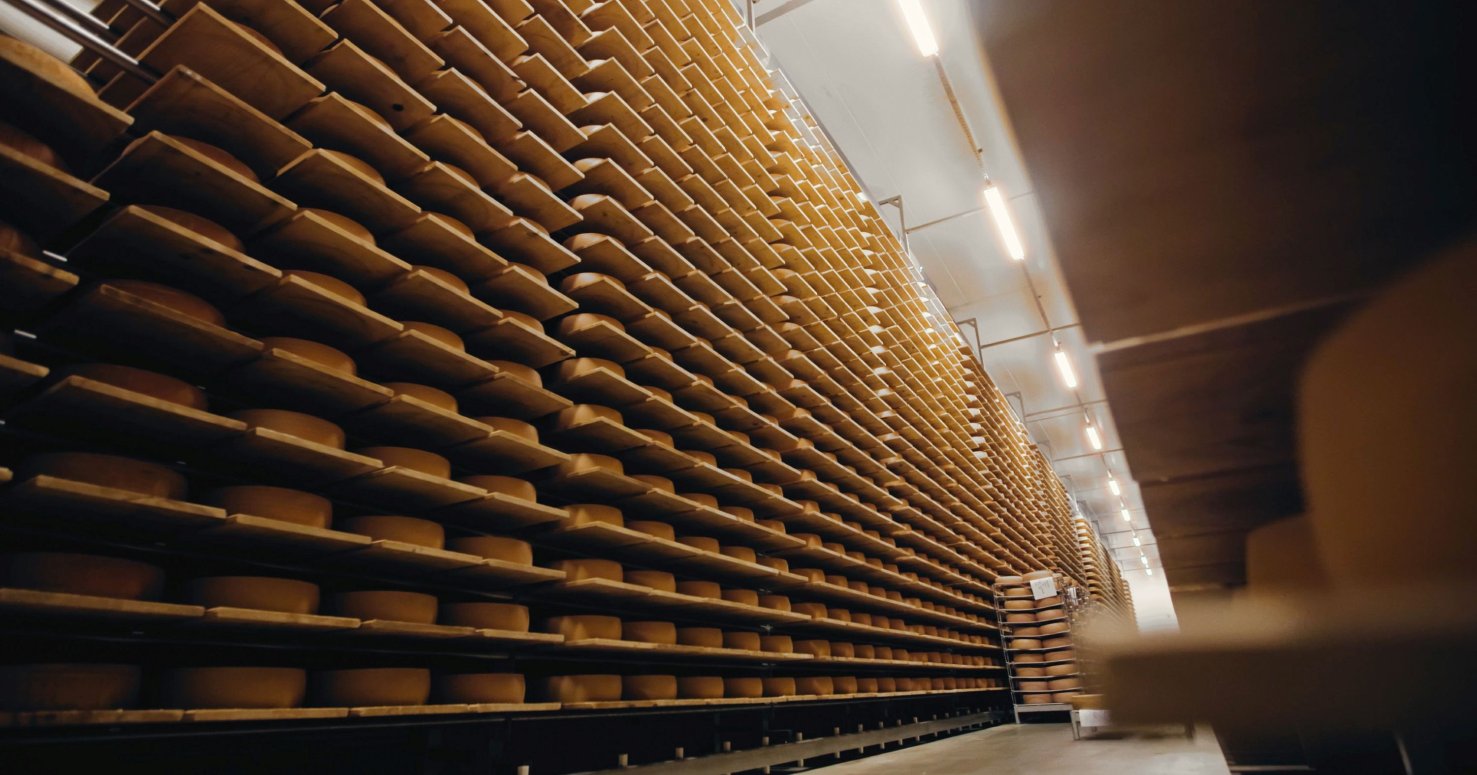 Export_Käselager.jpg