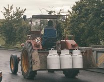 Anmeldung Schweizer Käse-Woche